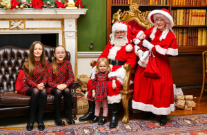 Danson House grotto example photo